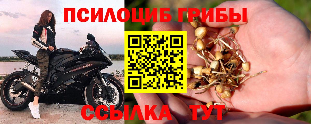 Галлюциногенные грибы ЛСД Реж