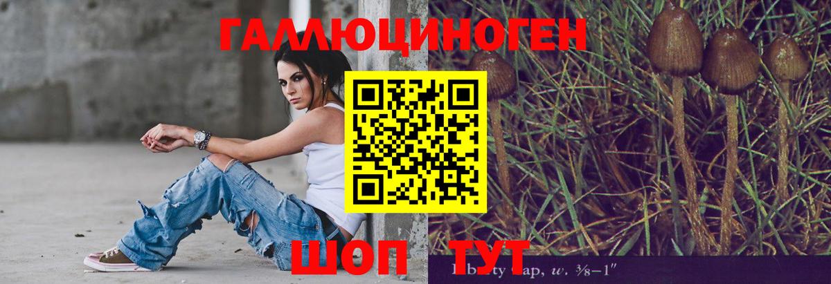 Псилоцибиновые грибы Magic Shrooms  Вход с VPN  Реж 